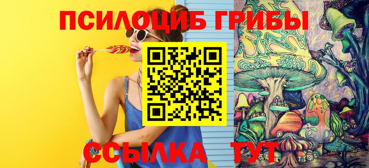 Псилоцибиновые грибы мицелий Новороссийск